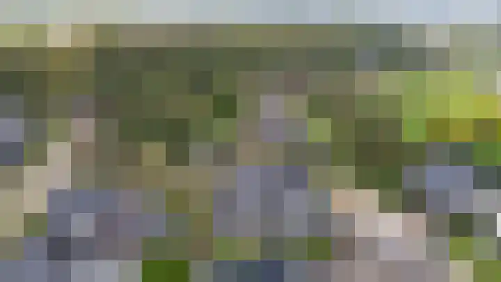 Monniksmouw 12 Wehl thumbnail 56