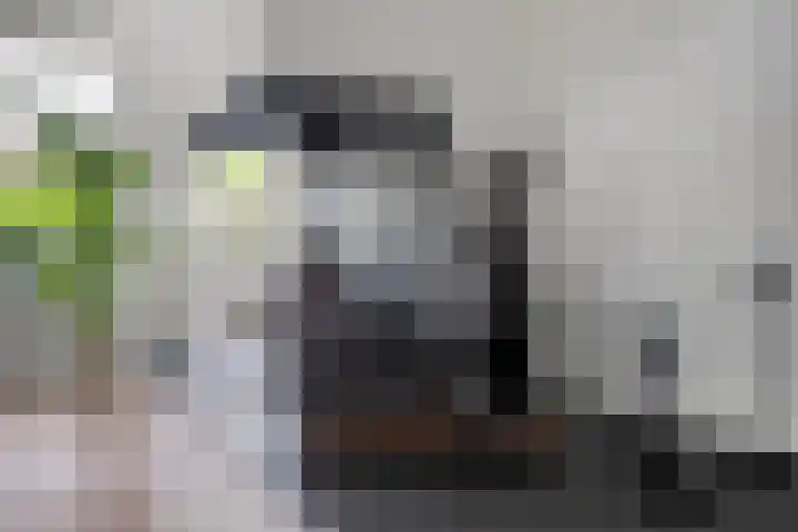 Monroedreef 14 Ede thumbnail 10
