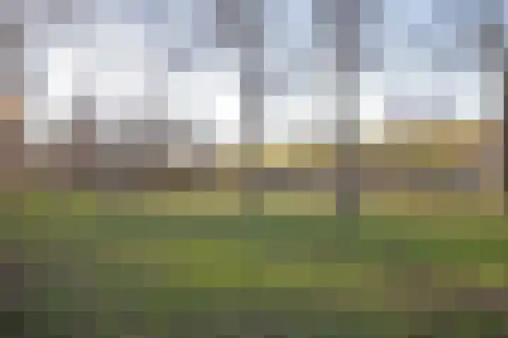 Monroedreef 14 Ede thumbnail 20