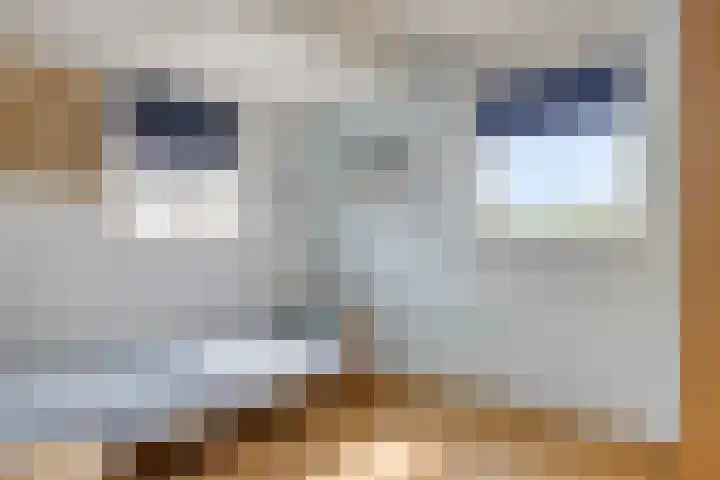 Monroedreef 14 Ede thumbnail 24