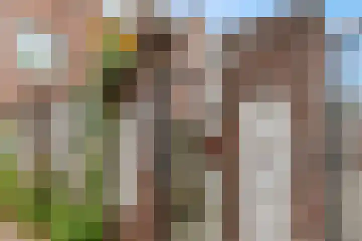 Monsterstraat 23 Oss thumbnail 20