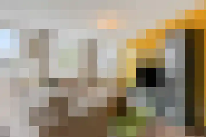 Monsterstraat 23 Oss thumbnail 4