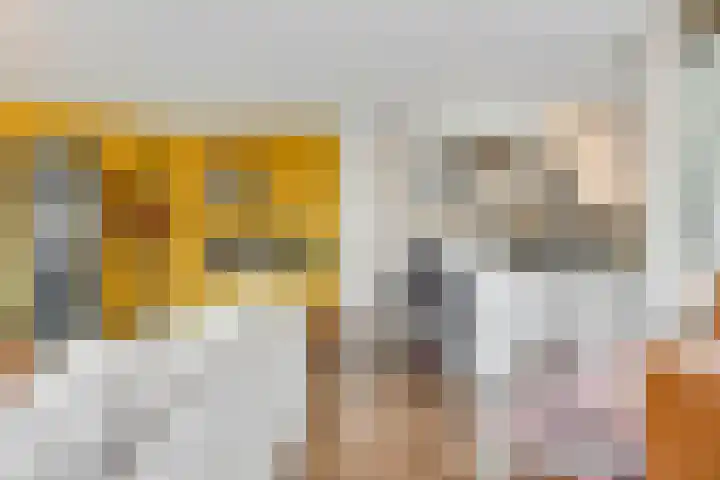 Monsterstraat 23 Oss thumbnail 6