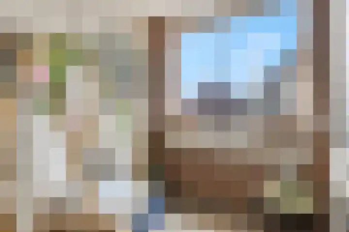 Monsterstraat 23 Oss thumbnail 7