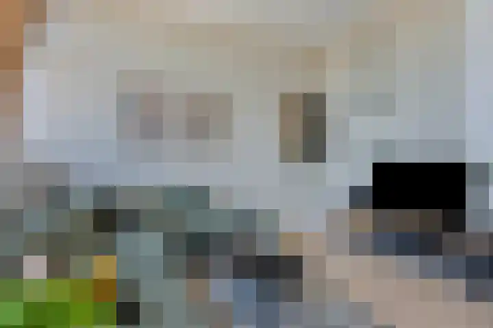 Monsterstraat 4 H Oss thumbnail 5