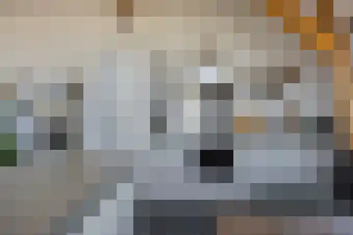 Monsterstraat 4 H Oss thumbnail 7