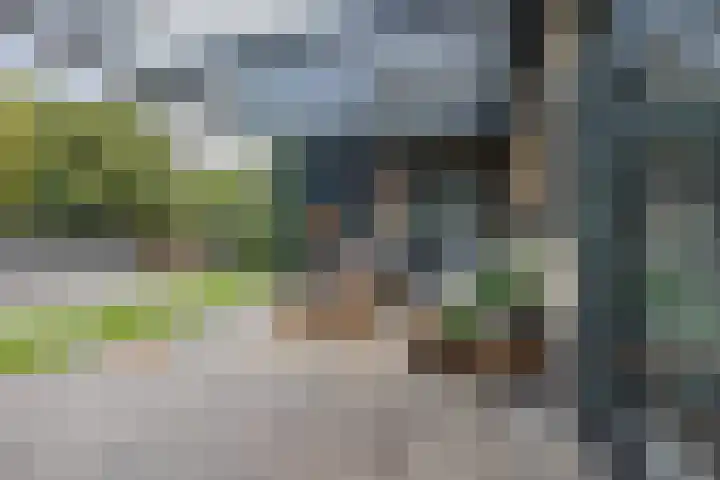 Montanusstraat 10 Hellevoetsluis thumbnail 33