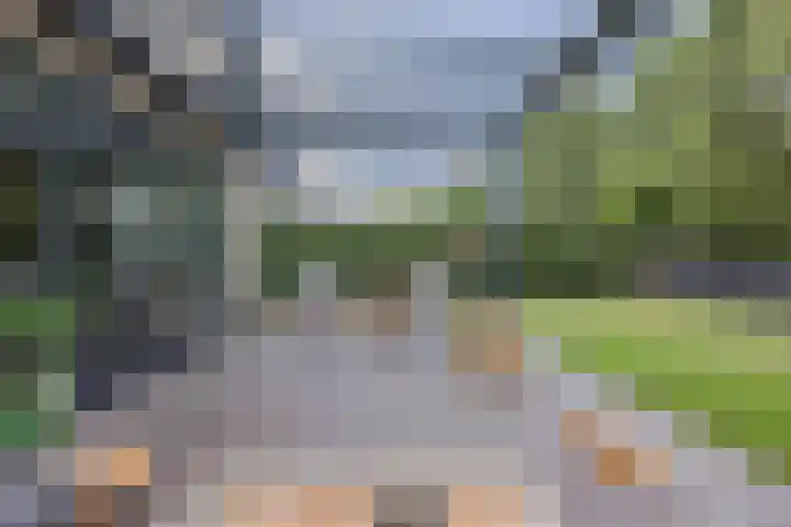 Montanusstraat 10 Hellevoetsluis thumbnail 35