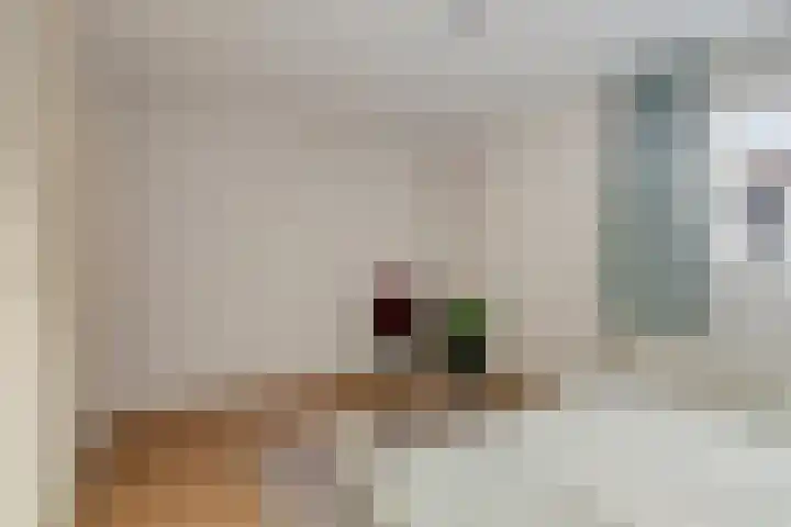 Montbretiastraat 8 Enschede thumbnail 17
