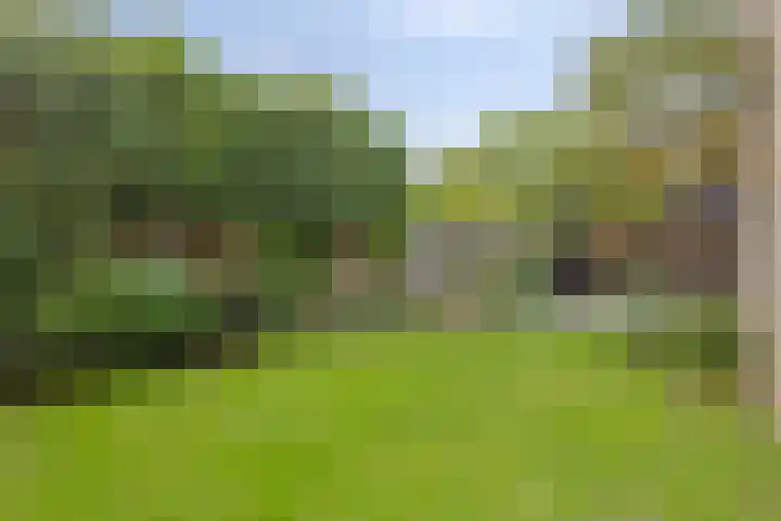 Monteverdistraat 1 Boxtel thumbnail 27