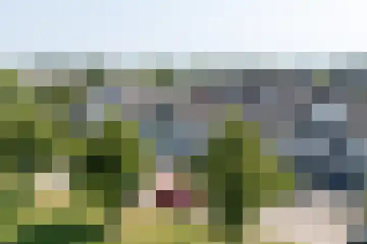 Monteverdistraat 121 Purmerend thumbnail 8