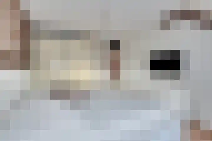 Monteverdistraat 123 Purmerend thumbnail 34