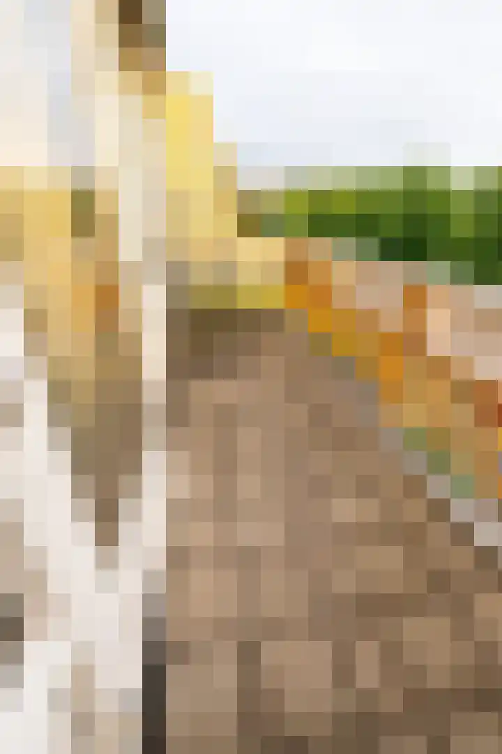 Montgomerylaan 170 Delft thumbnail 18