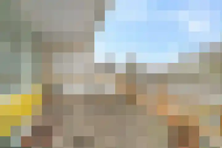 Montgomerylaan 238 Delft thumbnail 16