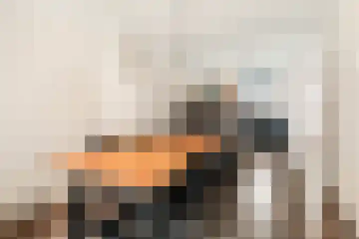 Montgomerylaan 238 Delft thumbnail 24