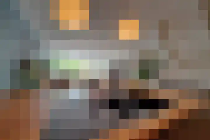 Montgomerylaan 42 Delft thumbnail 14