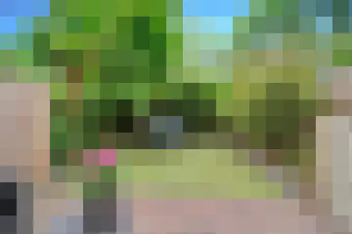 Montgomerylaan 42 Delft thumbnail 20