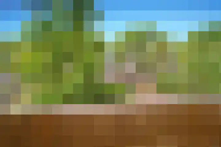 Montgomerylaan 42 Delft thumbnail 27