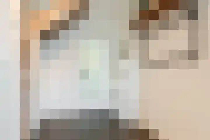 Montgomerystraat 8 Oss thumbnail 6