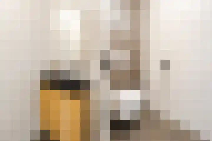 Montgomerystraat 8 Oss thumbnail 7