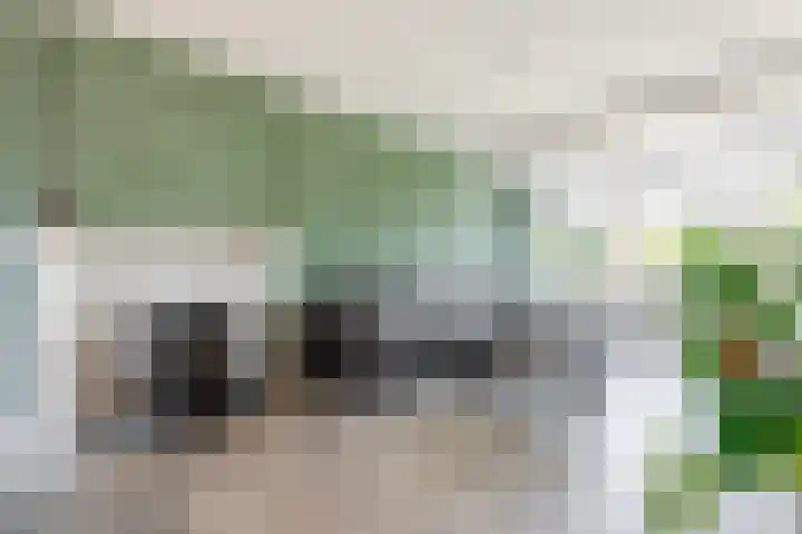 Montgomerystraat 8 Oss thumbnail 8