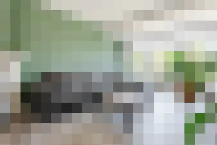 Montgomerystraat 8 Oss thumbnail 9