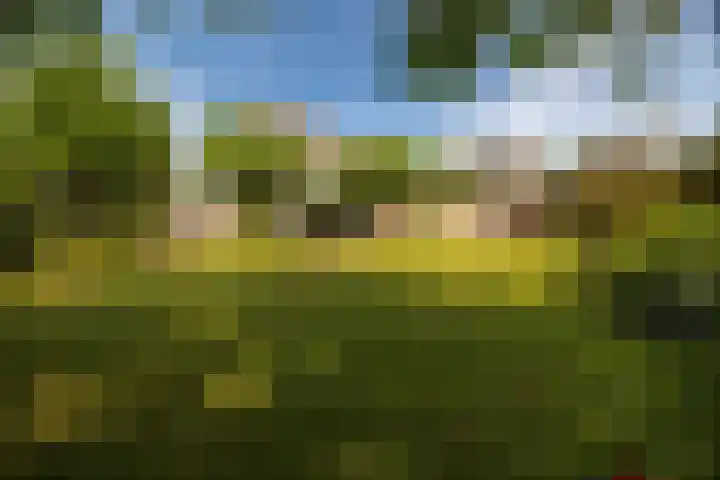 Mooieweg 174 Arnhem thumbnail 55