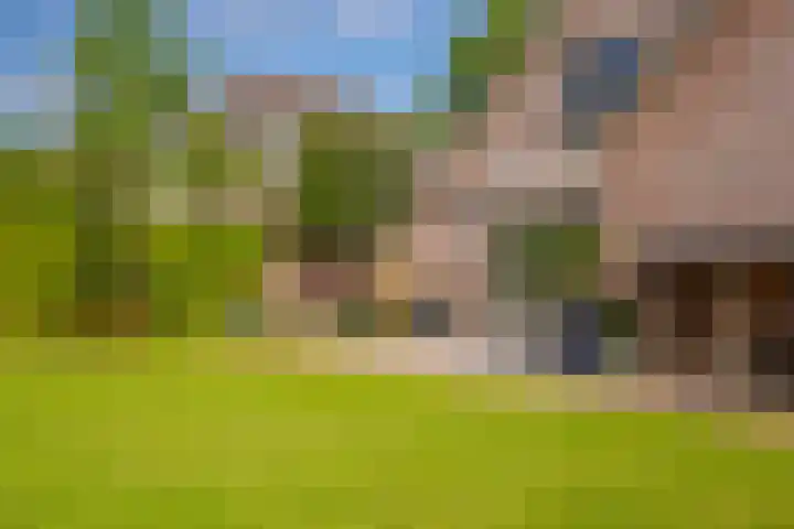Mooieweg 176 Arnhem thumbnail 32