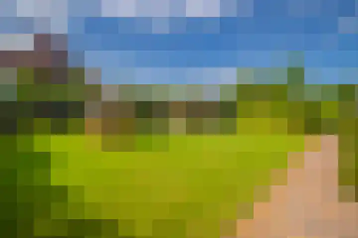 Mooieweg 176 Arnhem thumbnail 36