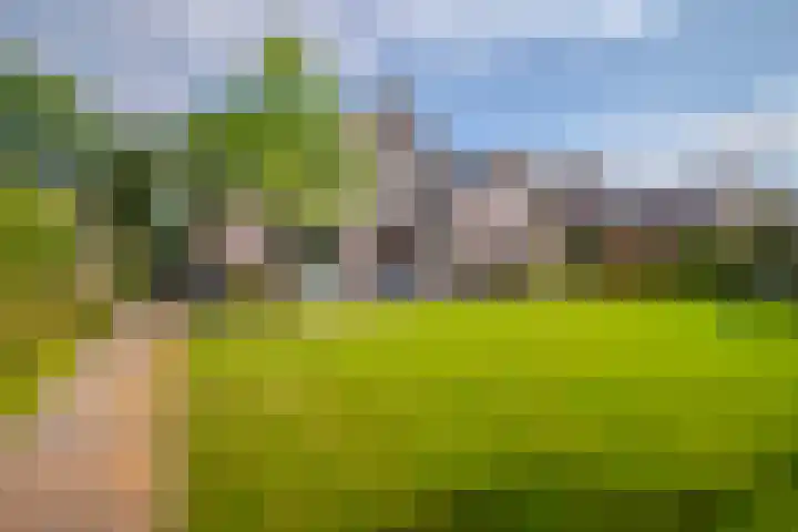 Mooieweg 176 Arnhem thumbnail 38