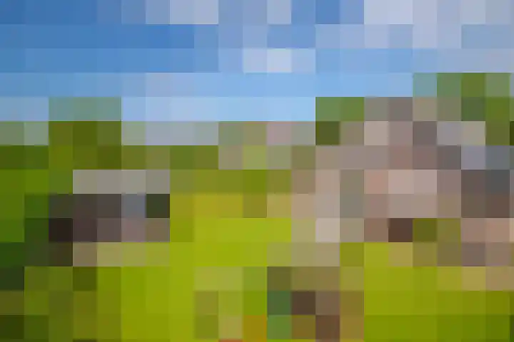 Mooieweg 176 Arnhem thumbnail 39