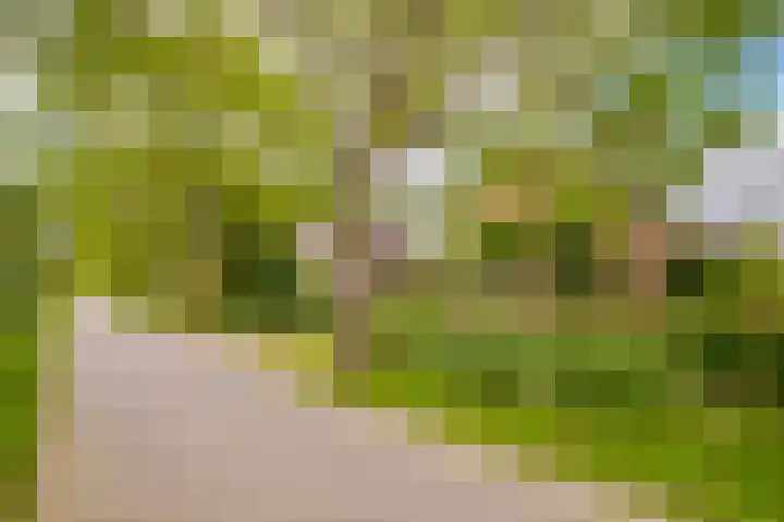 Mooieweg 176 Arnhem thumbnail 6