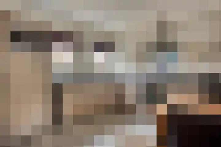 Logo van Mooijekind Vleut Makelaars Haarlem