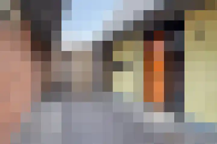 Mooiland 12 Groningen thumbnail 10