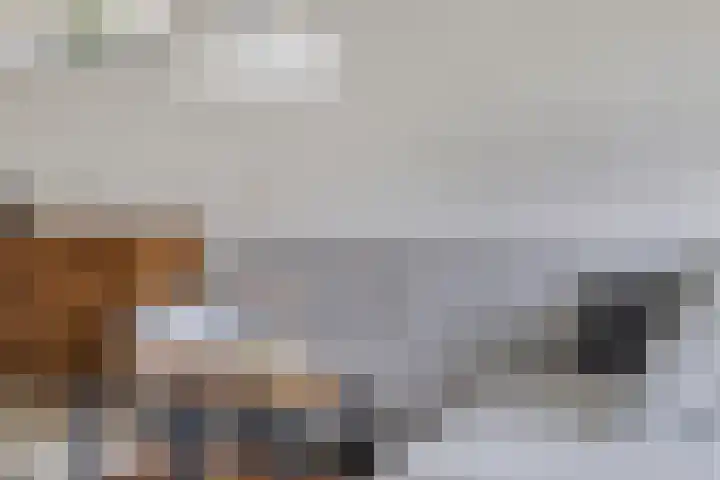 Mooiland 12 Groningen thumbnail 16