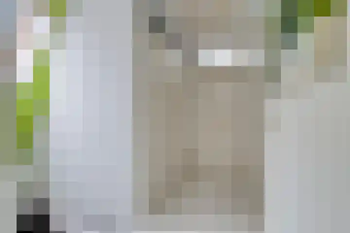 Mooiland 12 Groningen thumbnail 27