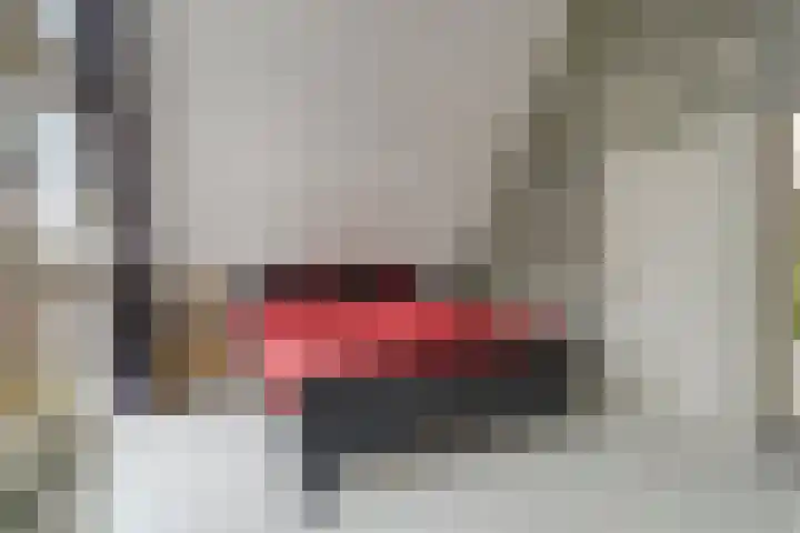 Mooiland 12 Groningen thumbnail 29