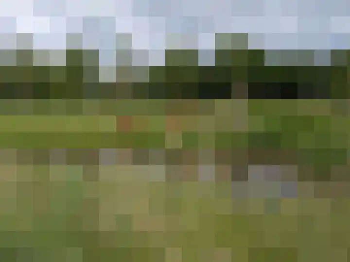 Mooiland 12 Groningen thumbnail 4