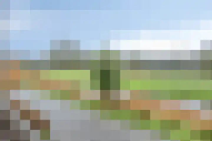 Mooiland 12 Groningen thumbnail 40