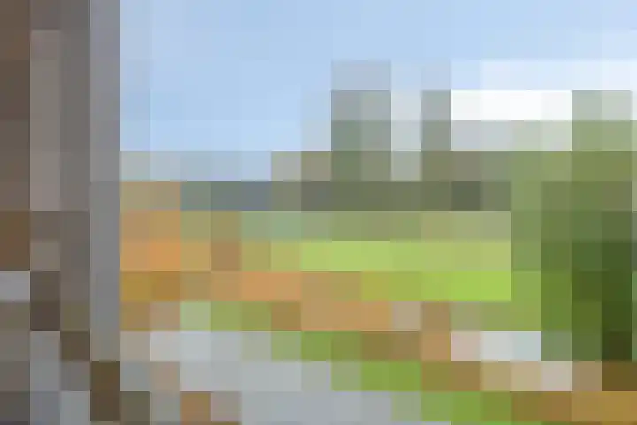 Mooiland 12 Groningen thumbnail 41