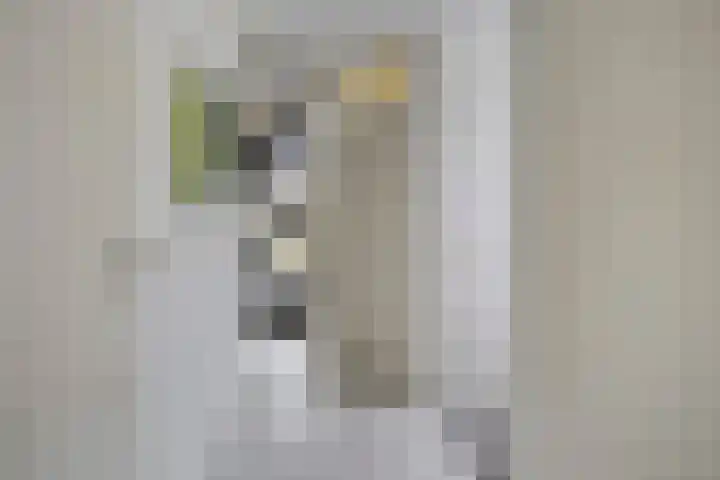 Mooiland 12 Groningen thumbnail 43