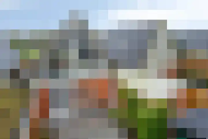 Mooiland 12 Groningen thumbnail 48