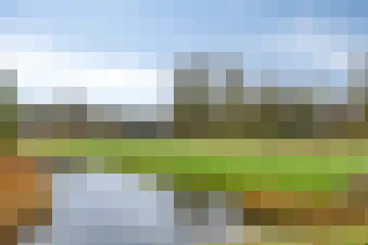 Mooiland 12 Groningen thumbnail 55