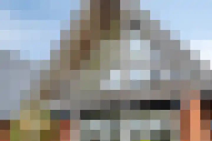 Mooiland 12 Groningen thumbnail 6