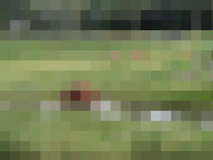 Mooiland 12 Groningen thumbnail 61