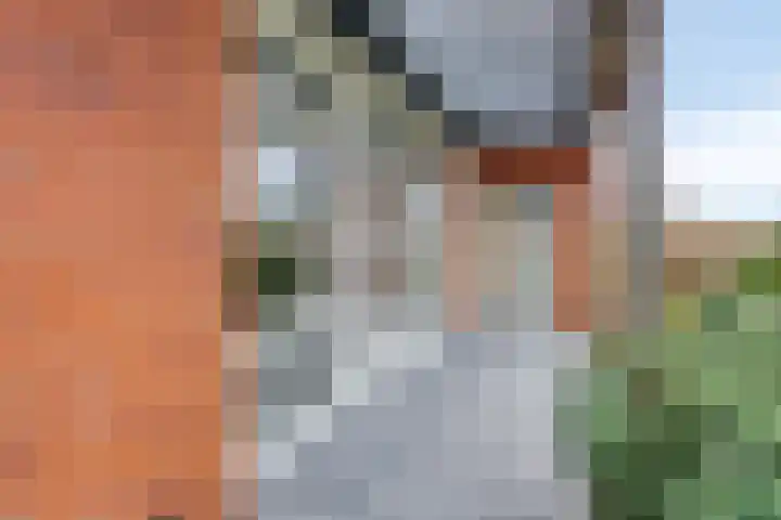 Mooiland 12 Groningen thumbnail 9