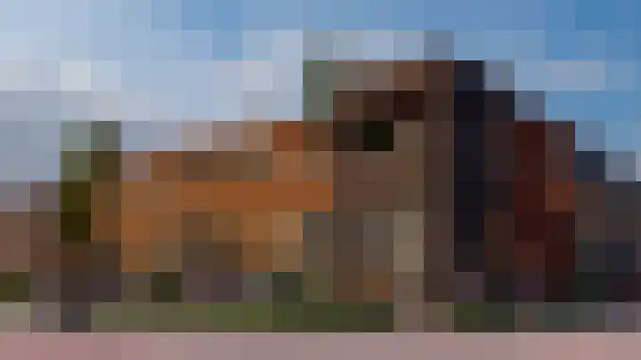 Mooksebaan 2 c Groesbeek thumbnail 5