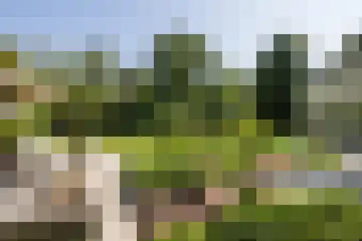 Moonslaan 30 Maarheeze thumbnail 27