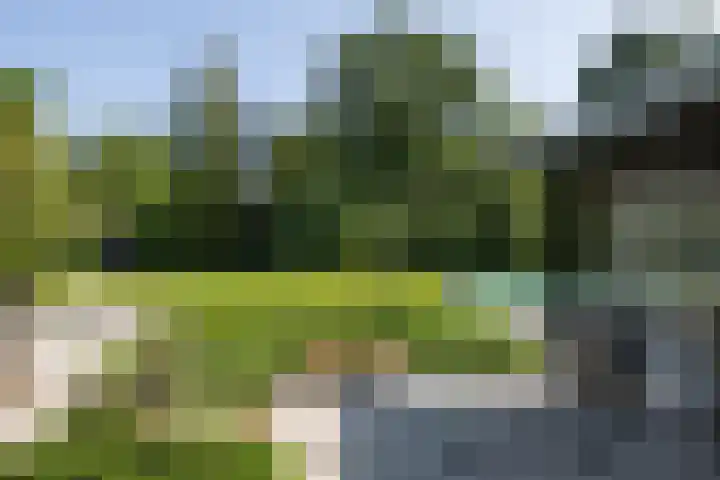 Moonslaan 30 Maarheeze thumbnail 28