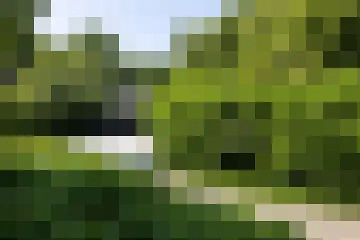 Moonslaan 30 Maarheeze thumbnail 30
